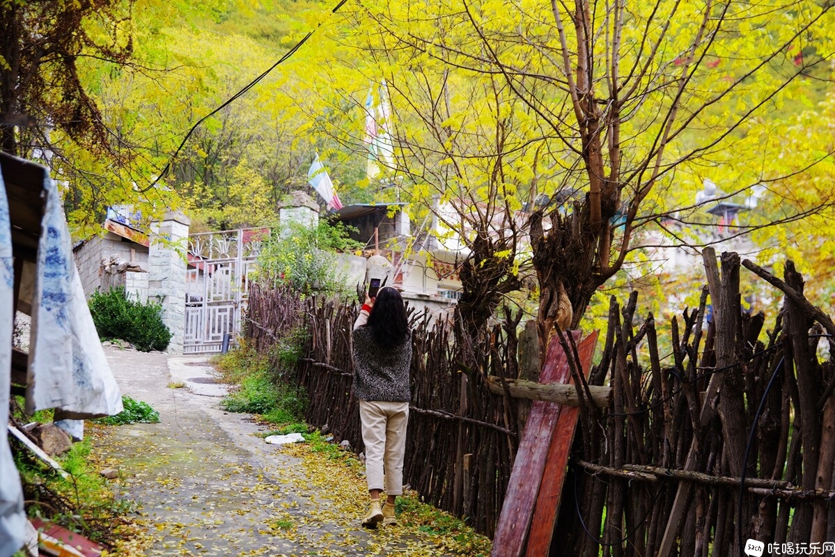 IMGP1479_副本.jpg
