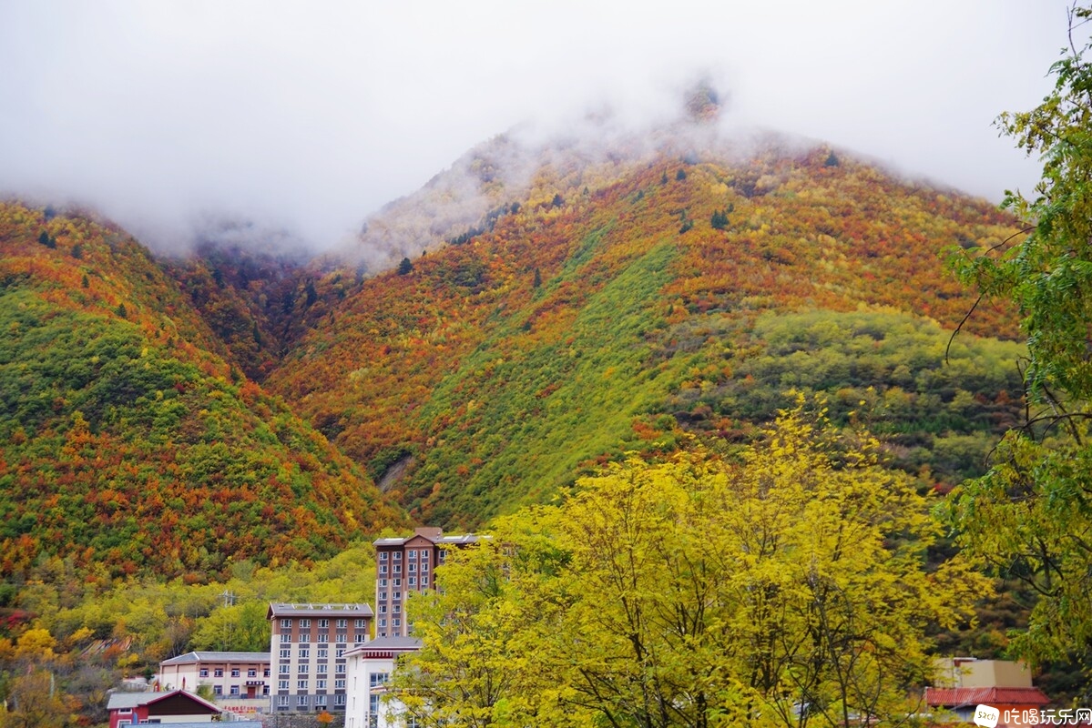 IMGP1484_副本.jpg