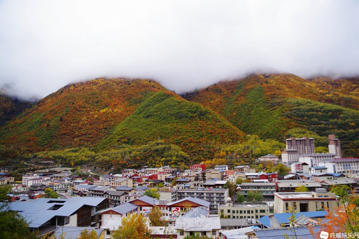 IMGP1517_副本.jpg