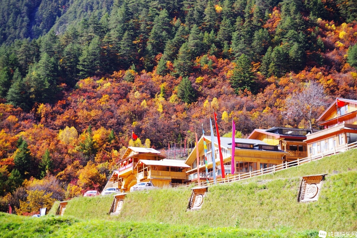 IMGP3003_副本.jpg